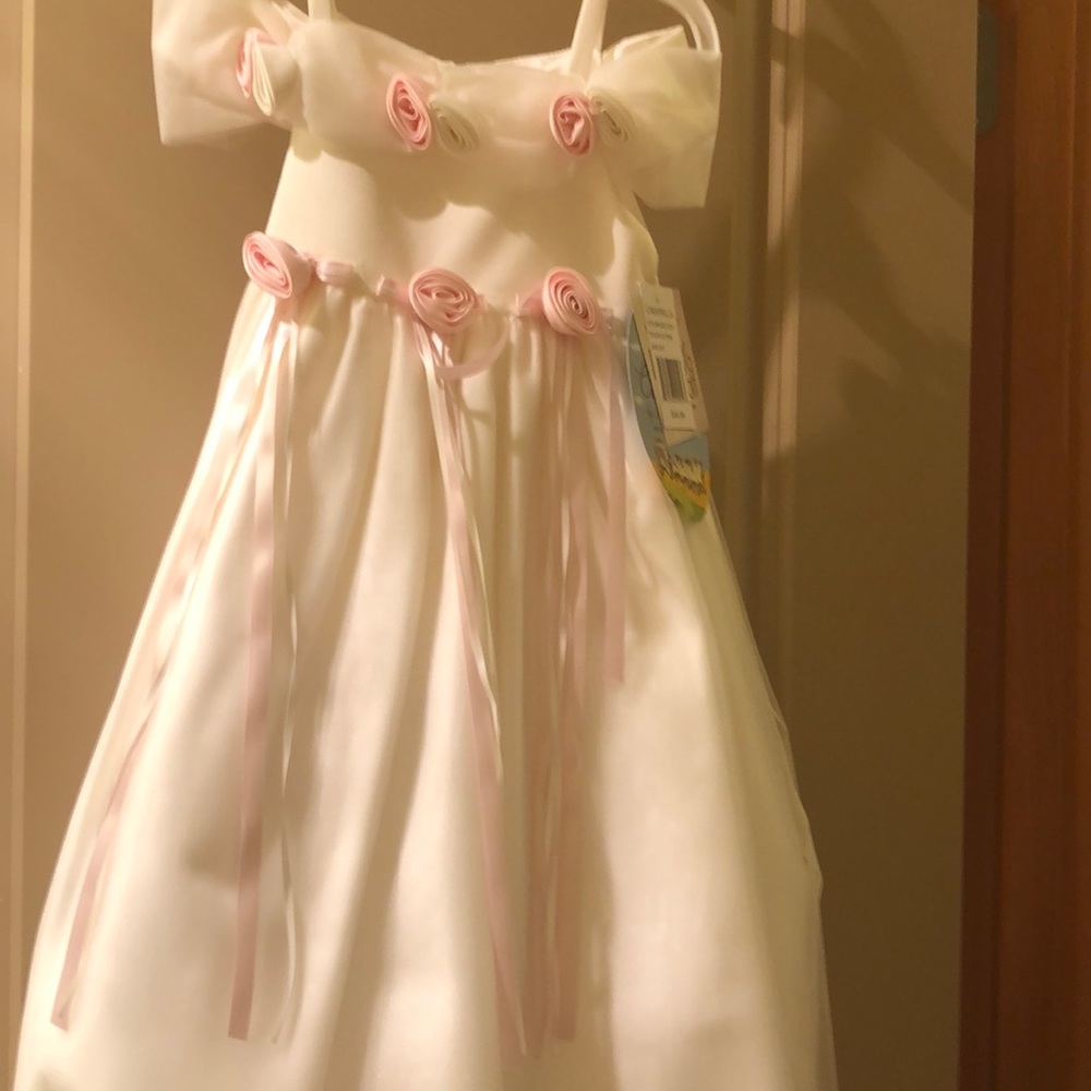 BEAUTIFUL GIRLS DRESS Size 3/3T